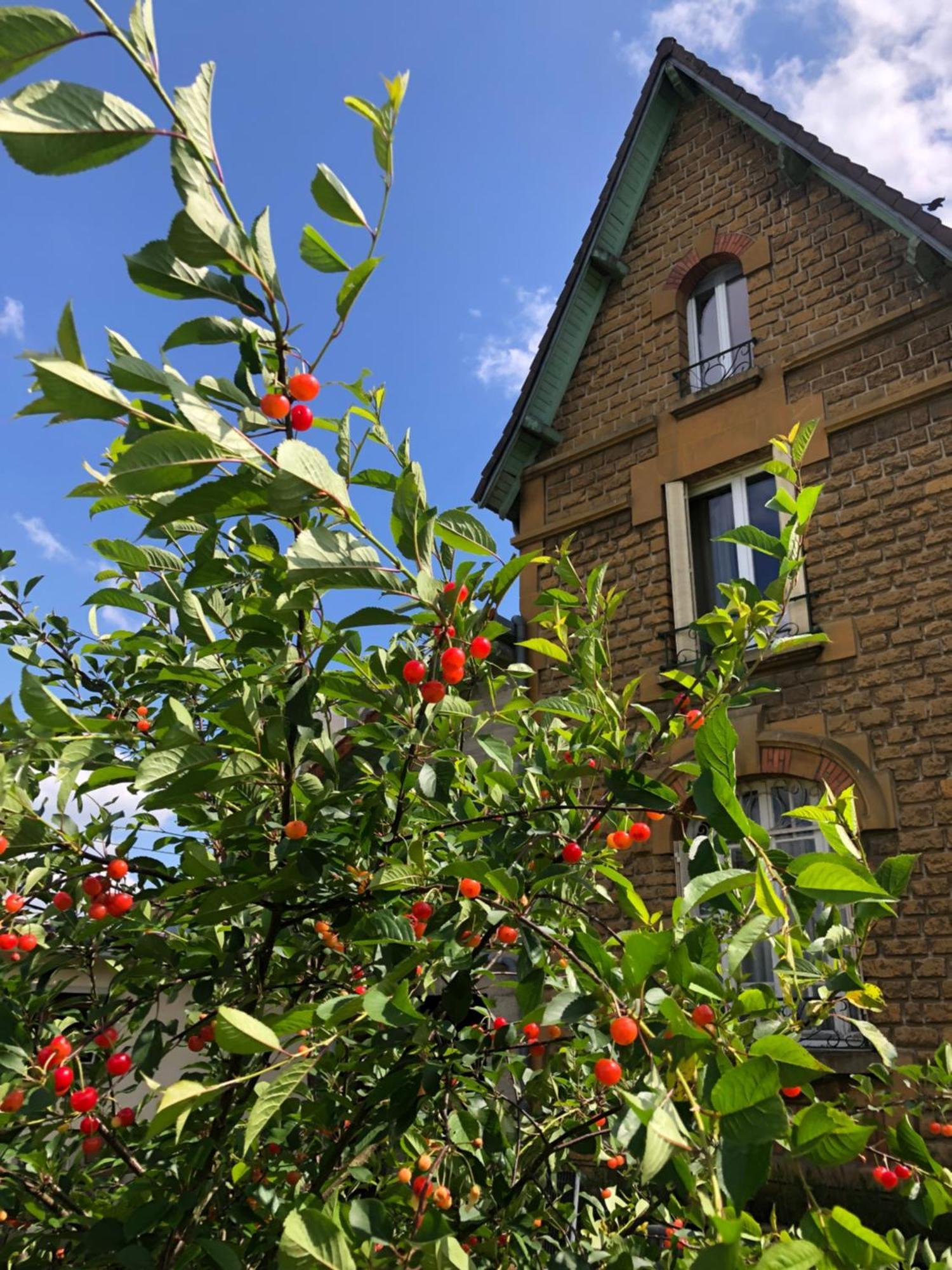 Villa Bonne Entente Donchery Buitenkant foto